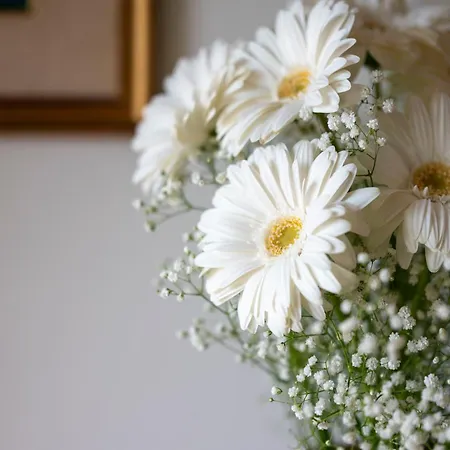 Дом отдыха Casa Rubina