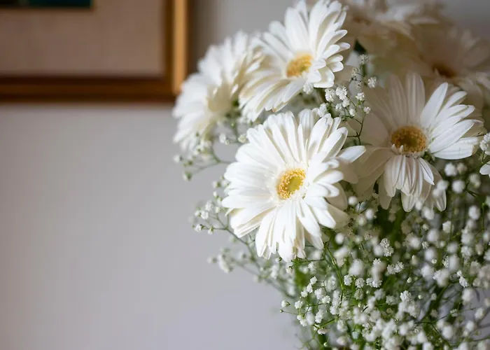 Дом отдыха Casa Rubina