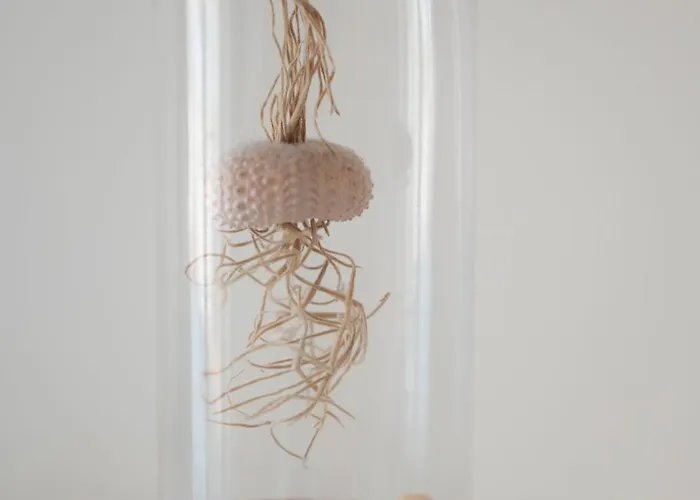 Casa Rubina Κάπρι